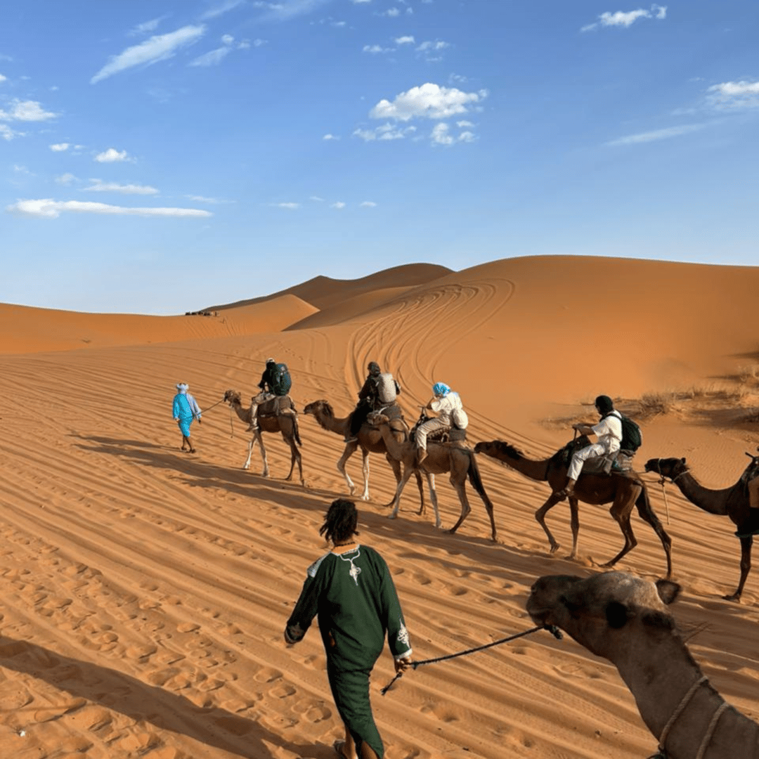 Au départ de Marrakech : circuit de 3 jours dans le désert de Merzouga et balade à dos de chameau - dromadaire