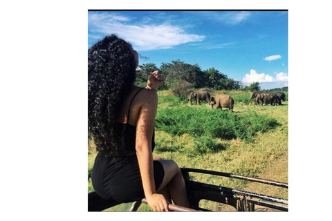 Da Kandy: Tour di un giorno da Dambulla a Sigiriya in auto di lussoTour di un giorno da Kandy a Sigiriya con un&#039;auto di lusso