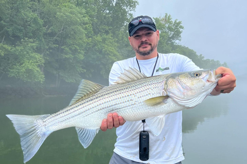 Nashville: excursión de pesca híbrida y de lubina rayadaNashville: Excursión de pesca híbrida y lubina rayada
