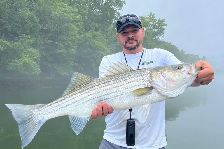 ناشفيل: رحلة صيد سمك القاروص الهجين والمخطط