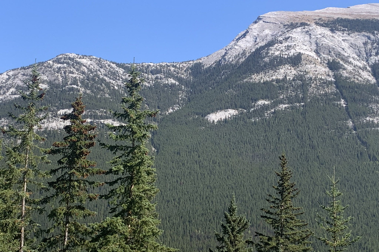 Minivan na lotnisko: Banff  CalgaryCzarter minivana: z Calgary do Banff