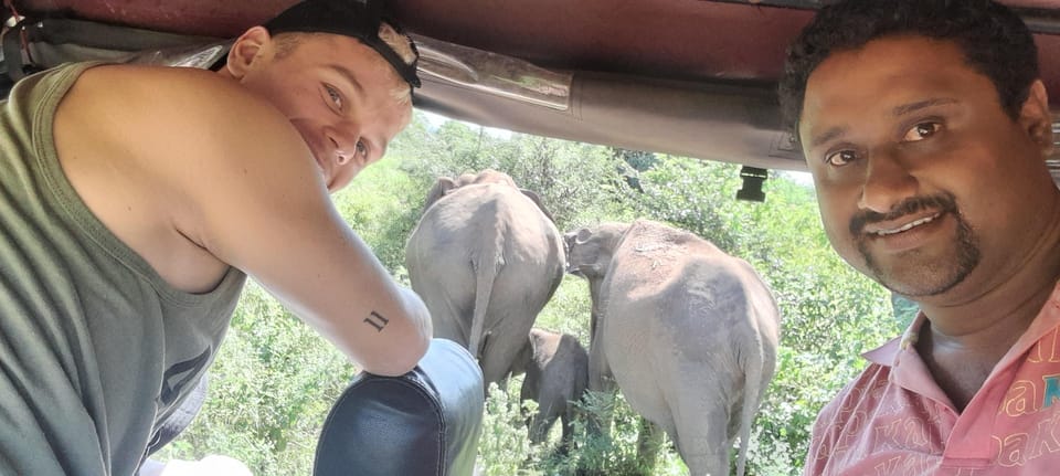 Udawalawa safari W tush from Ella (w pick/drop for Ella) - Housity