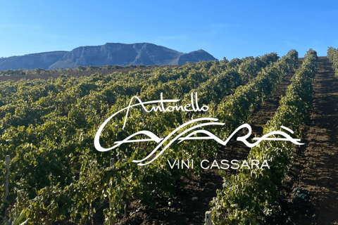 Vini Cassarà: Tour with Wine and Limoncello Tasting