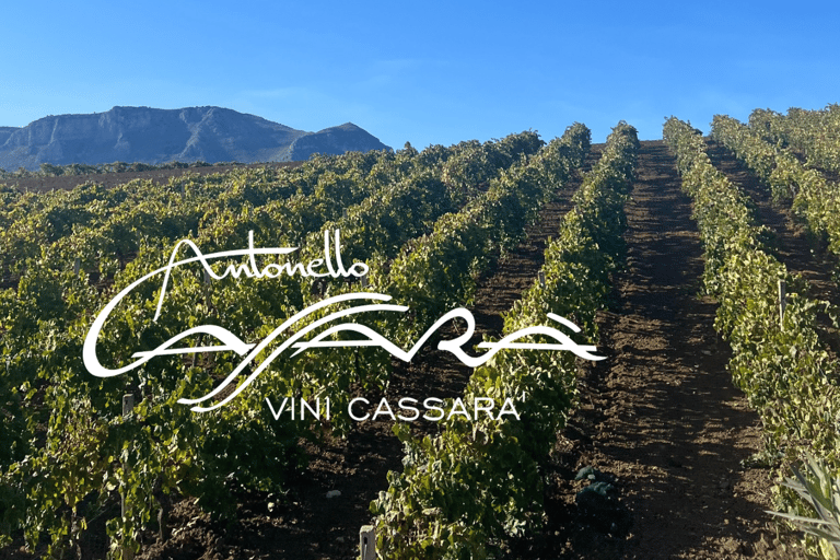 Vini Cassarà: Tour with Wine and Limoncello Tasting