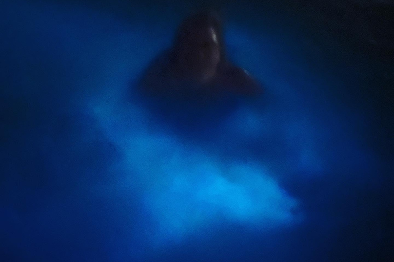 Bob Marley, Blue Hole, Secret Falls and Luminous Lagoon Tour From Montego Bay/ Falmouth/ Trelawny