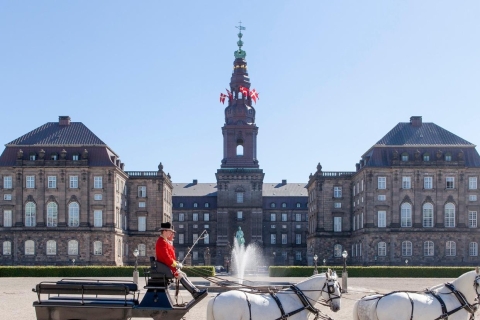 Copenhague: recorrido por la ciudad y el crucero privado por el canalCopenhague: Paseos destacados por la ciudad y crucero por el canal Tour privado