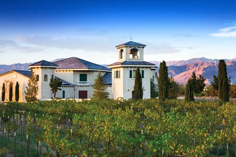 Scenic Las Vegas / Pahrump Wine Tasting Tour and Food