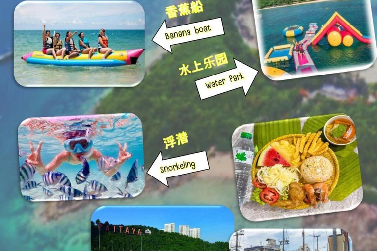 芭堤雅珊瑚岛探险之旅：芭堤雅最佳海滩度假胜地芭堤雅珊瑚岛探险之旅：芭堤雅最佳海滩之旅