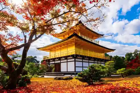 Osaka/Kyoto: Excursão de ônibus para Kyoto e Uji - Património Mundial da UNESCO