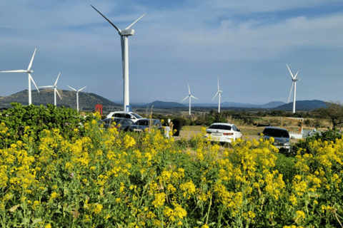 Jeju: Eastern UNESCO Sites Tour with Hotel Pickup