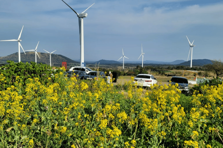 Jeju: Eastern UNESCO Sites Tour with Hotel Pickup