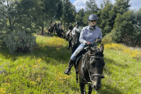 Franschhoek: Excursão de 1 dia a cavalo e degustação de vinhos