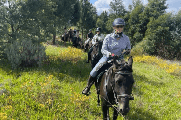 Franschhoek: Tour di un giorno a cavallo e degustazione di vini