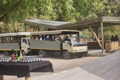 Kapstaden: Aquila big five-safari med transport och lunch