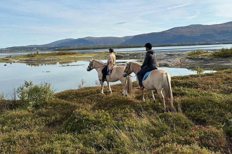 Tromsø: Reittour
