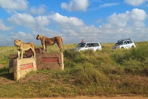 PARQUE DE NAIRÓBI, ORFANATO DE ELEFANTES, EXCURSÃO DE UM DIA AO CENTRO DE GIRAFAS.