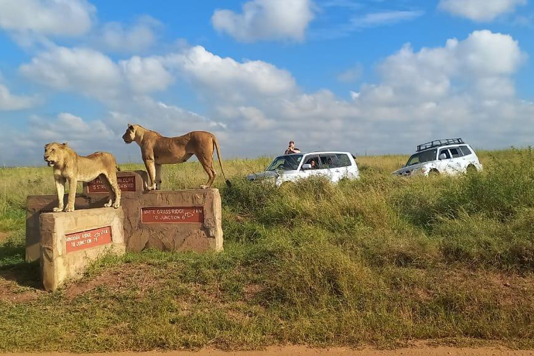 PARQUE DE NAIRÓBI, ORFANATO DE ELEFANTES, EXCURSÃO DE UM DIA AO CENTRO DE GIRAFAS.