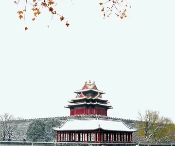 Private Forbidden City and Tiananmen Square Tour