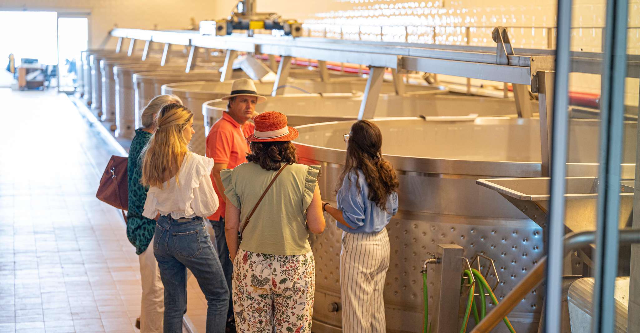 Herdade Da Bear Tailorda Winetasting - Housity