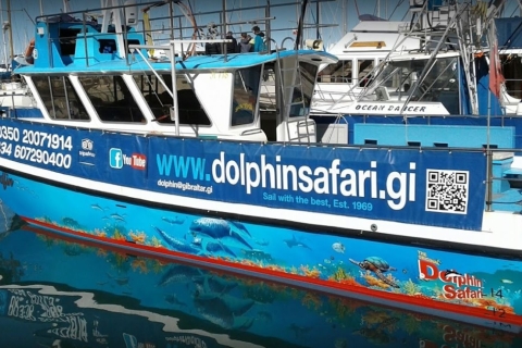 Gibraltar: 1-stündige Delfin-Beobachtungstour mit dem Boot