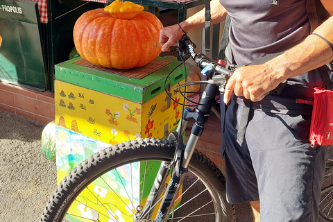 Corfu: Food tour on a bicycle-old town,suburbs & hidden gems Food tour on a bicycle-Without transfer