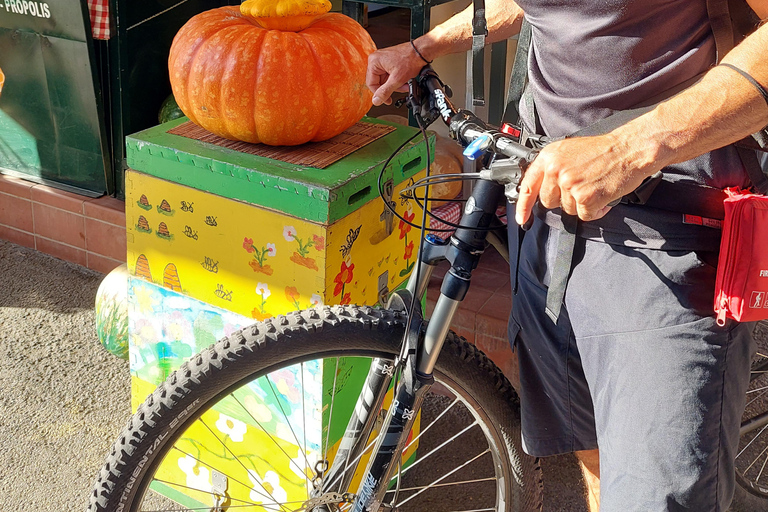 Corfu: Food tour on a bicycle-old town,suburbs & hidden gems Food tour on a bicycle-Without transfer