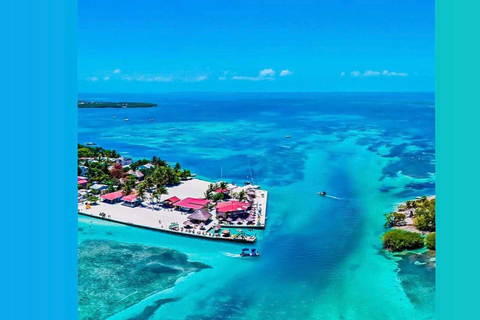 From Your Hotel in San Ignacio to Caye Caulker/Van + Ferry