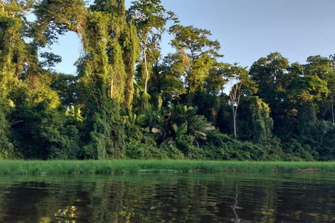 3-hour experience through the channels of the National Park.