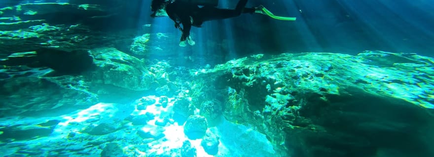 Tulum : Cénote Dos Ojos 2 plongées avec option de transfert