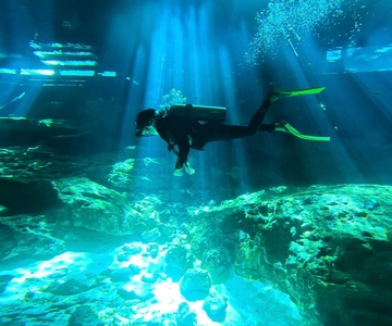 Tulum: Cenote Dos Ojos 2 Inmersiones con Opción de Traslado