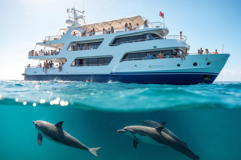 Hurghada: Dolphin Watching & Snorkeling Adventure with Lunch Dolphin Watching Boat Tour with Diving