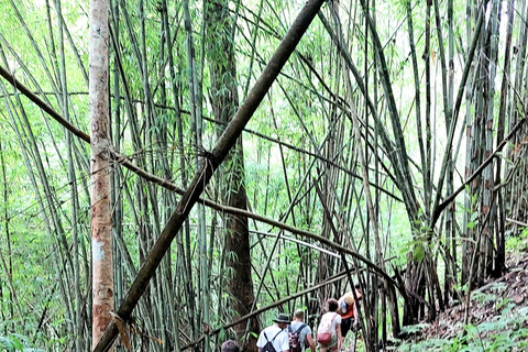 Chiang Mai: highlight One day trekking & bamboo rafting