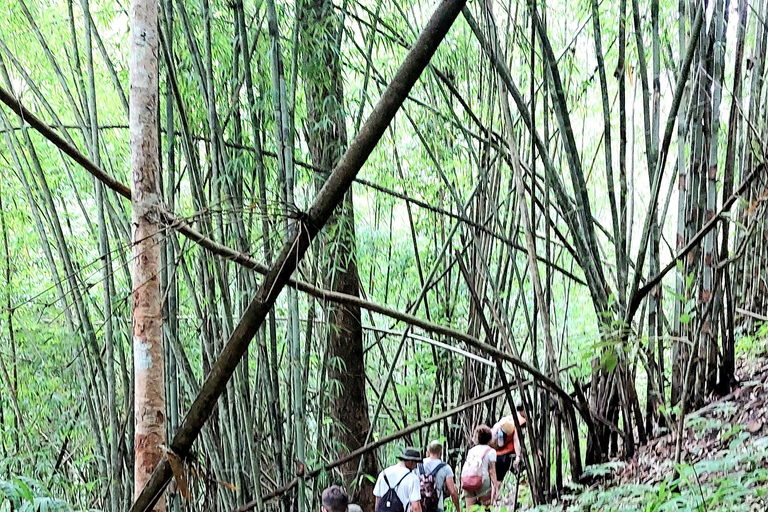 Chiang Mai: highlight One day trekking & bamboo rafting