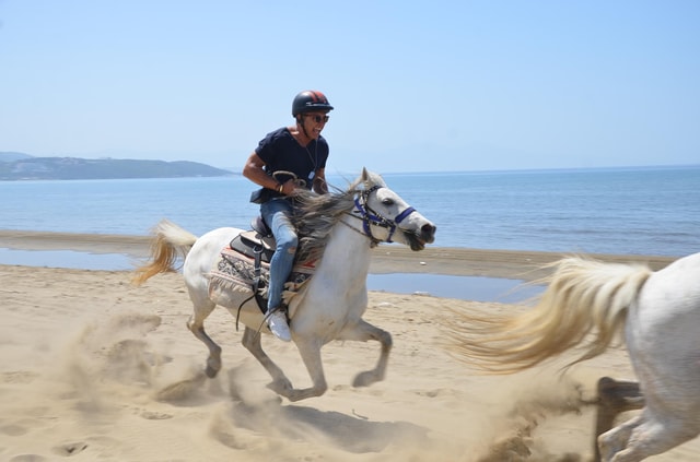 Kusadasi: Countryside & Pamucak Beach Horseback Riding