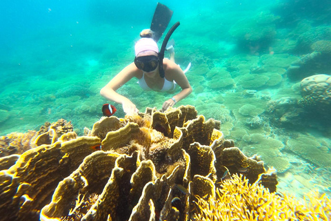 Esclusivo tour di pesca e snorkeling a Lombok attraverso 4 Gilis