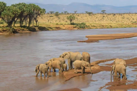 2 days 1 night saltlick safari from Diani/Mombasa.