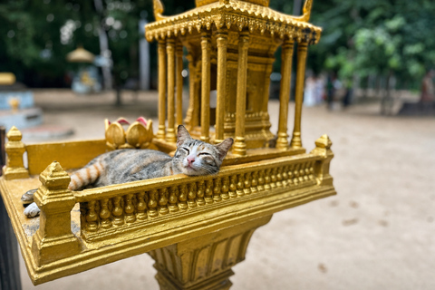 Phnom Penh: Silk Island Cycling Aventure & Lunch with Locals