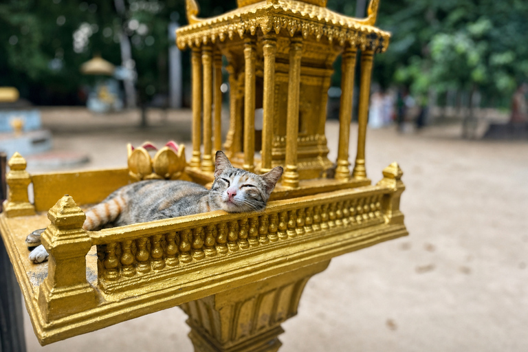 Phnom Penh: Silk Island Cycling Aventure & Lunch with Locals