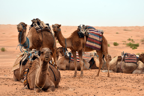 Abenteuer Sahara: Douz, Matmata &amp; Toujane von Djerba aus mit dem Jeep