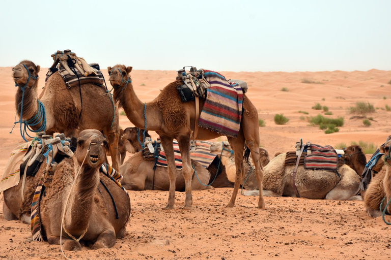 Aventura no Sara: Douz, Matmata &amp;Toujane a partir de Djerba em jipe