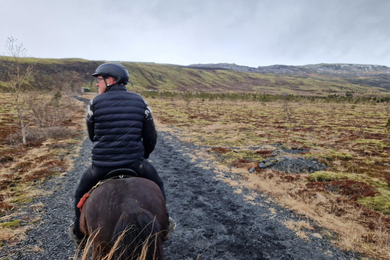 雷克雅达尔尔：家庭与初学者骑马之旅雷克雅达尔尔：家庭及初学者骑马游览