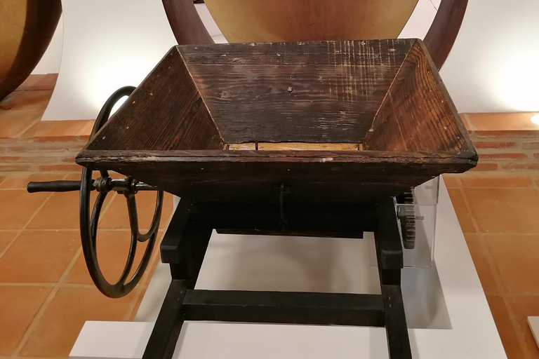 Vila de Frades: Talha Wine Tour with Tastings