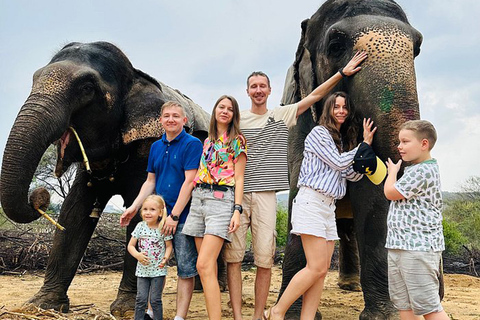 Elephant Sanctuary for Best elephant experience in JaipurJaipur: Elephant Sanctuary Entry Ticket with Transfers