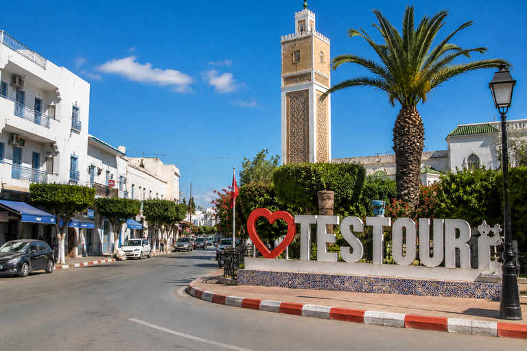 Tunis/Hammamet: Testour, Dougga, Bulla Regia, Beja with Lunch Included Driver only (without live guide or meals)