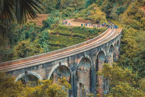 From Galle: Ella Private Day Tour with Guide & Transfers Pickup From Ella / Tissamaharama Area