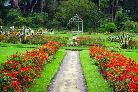 Kandy - Stadsvandring med Tuk Tuk med rekommenderad guide