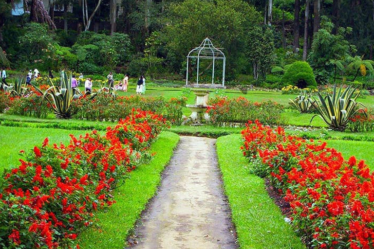 Kandy - Tour de la ciudad en Tuk Tuk con guía recomendado