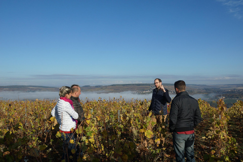 Experiência nos vinhedos de Champagne: Mergulhe no terroirExperiência no vinhedo de Champagne em inglês