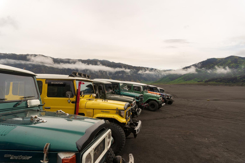 Entdecke den Mount Bromo und den Ijen-Krater in 3 Tagen von Bali aus
