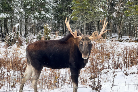 Montreal: Omega Park Private Tour with Pickup & Guide